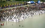imbrazil 150