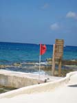 imcoz_n1_462