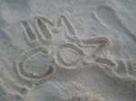 imcoz_z9_343