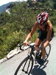 imfrance 278